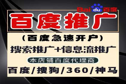 如何在竞争激烈的市场中做好SEM——案例分析